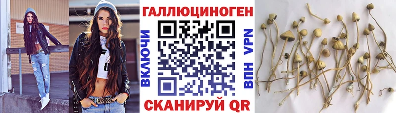 Псилоцибиновые грибы мухоморы  где купить   мега tor  Пыть-Ях 